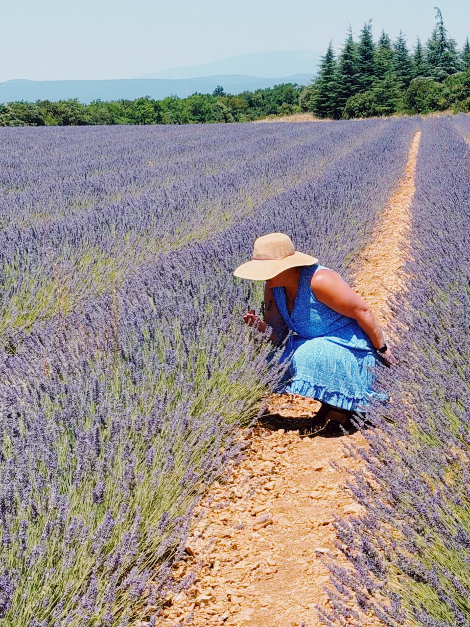 Inspired by Provence