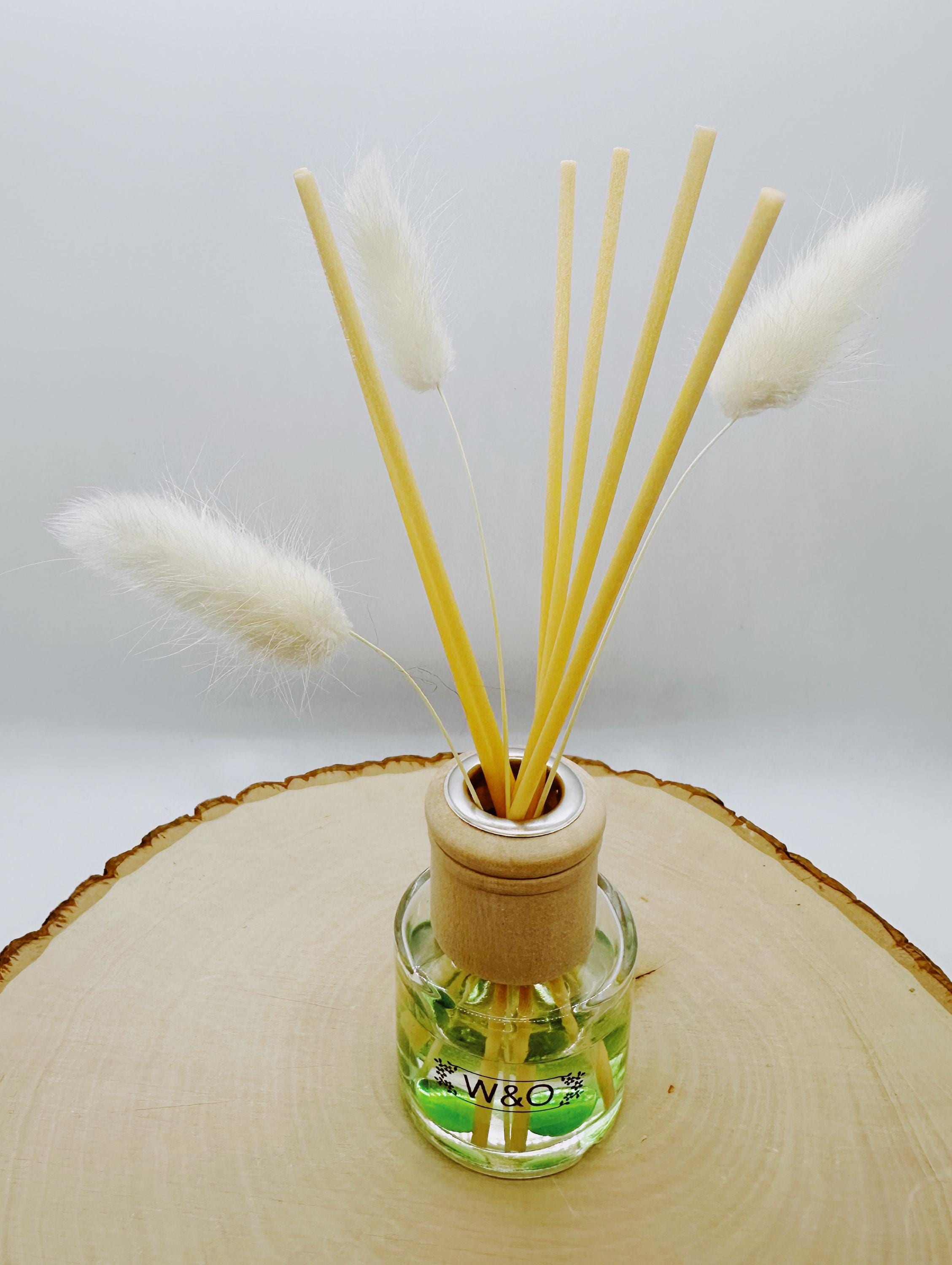 Reed Diffuser Cucumber Citrus Mint - Spa Scent Eco-friendly Essential Oils Fragrance